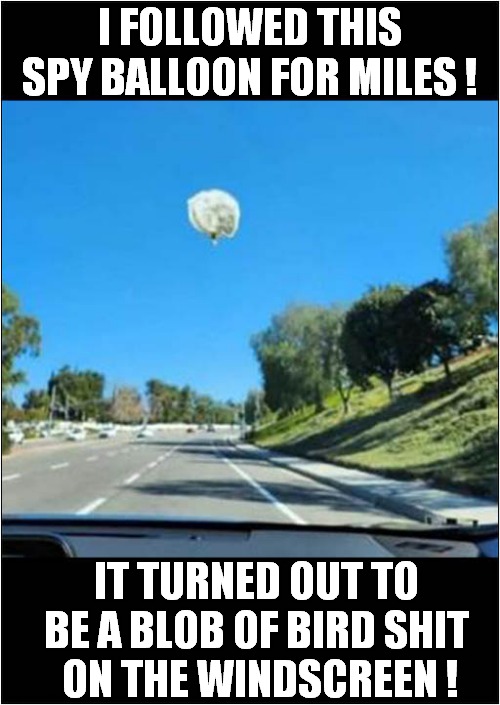 Suspicious Activity Needed To Be Investigated ! | I FOLLOWED THIS SPY BALLOON FOR MILES ! IT TURNED OUT TO BE A BLOB OF BIRD SHIT
 ON THE WINDSCREEN ! | image tagged in chinese spy balloon,illusion,bird shit,dark humour | made w/ Imgflip meme maker