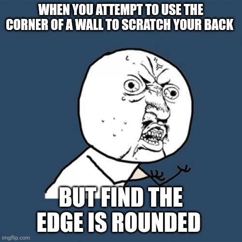 Wall back scratch but the edge is rounded | WHEN YOU ATTEMPT TO USE THE CORNER OF A WALL TO SCRATCH YOUR BACK; BUT FIND THE EDGE IS ROUNDED | image tagged in memes,y u no | made w/ Imgflip meme maker