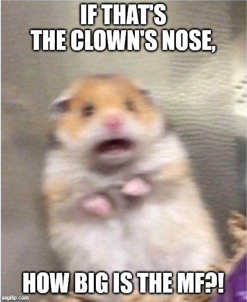 Scared Hamster | IF THAT'S THE CLOWN'S NOSE, HOW BIG IS THE MF?! | image tagged in scared hamster | made w/ Imgflip meme maker