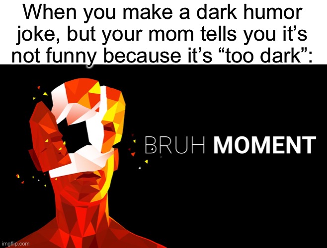 Bruh moment | When you make a dark humor joke, but your mom tells you it’s not funny because it’s “too dark”: | image tagged in bruh,dark humor | made w/ Imgflip meme maker