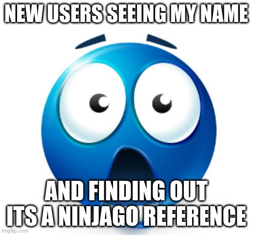 Bro is flabbergasted | NEW USERS SEEING MY NAME; AND FINDING OUT ITS A NINJAGO REFERENCE | image tagged in bro is flabbergasted | made w/ Imgflip meme maker