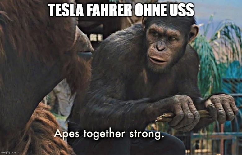 Apes Together Strong | TESLA FAHRER OHNE USS | image tagged in apes together strong | made w/ Imgflip meme maker