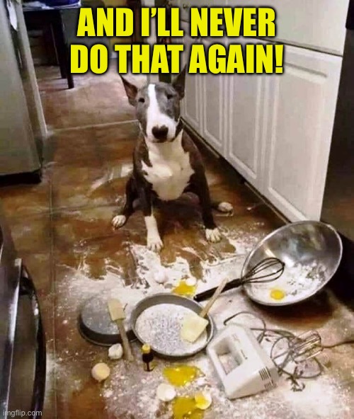 Cooking | AND I’LL NEVER DO THAT AGAIN! | image tagged in cooking | made w/ Imgflip meme maker