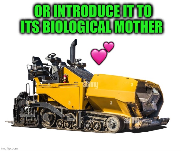 OR INTRODUCE IT TO ITS BIOLOGICAL MOTHER ? | made w/ Imgflip meme maker