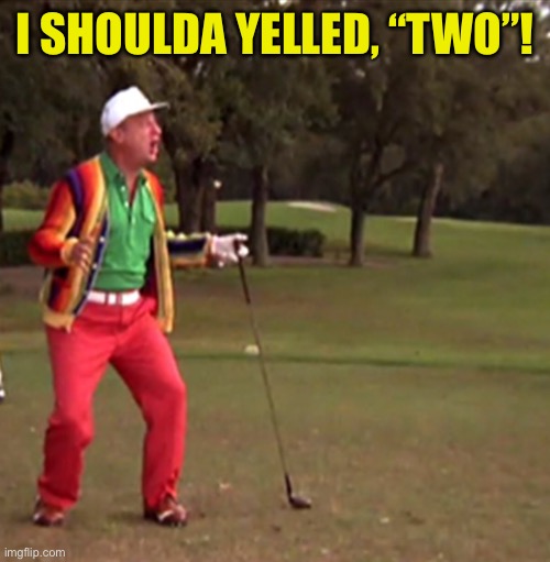 Caddyshack Two | I SHOULDA YELLED, “TWO”! | image tagged in caddyshack two | made w/ Imgflip meme maker
