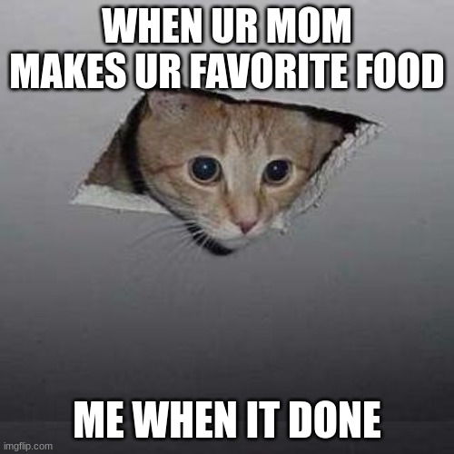 When foods ready | WHEN UR MOM MAKES UR FAVORITE FOOD; ME WHEN IT DONE | image tagged in memes,ceiling cat | made w/ Imgflip meme maker