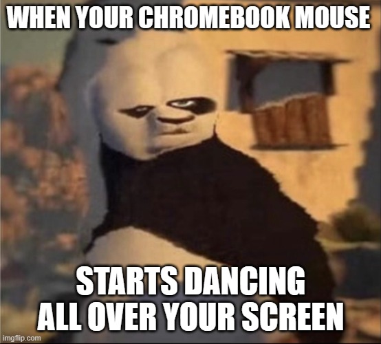 Weird panda | WHEN YOUR CHROMEBOOK MOUSE; STARTS DANCING ALL OVER YOUR SCREEN | image tagged in weird panda | made w/ Imgflip meme maker