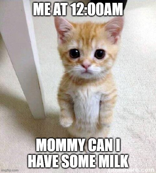 Cute Cat | ME AT 12:00AM; MOMMY CAN I HAVE SOME MILK | image tagged in memes,cute cat | made w/ Imgflip meme maker