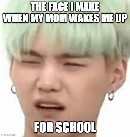 aRMY??? | THE FACE I MAKE WHEN MY MOM WAKES ME UP; FOR SCHOOL | image tagged in army | made w/ Imgflip meme maker
