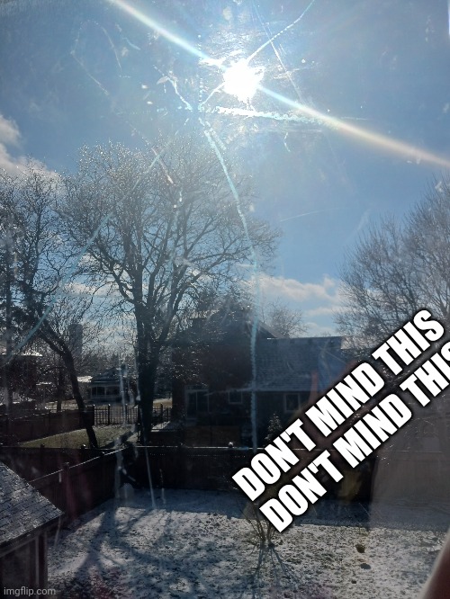 Picture 1 of 100 sunny winter backyard | DON'T MIND THIS
DON'T MIND THIS | made w/ Imgflip meme maker