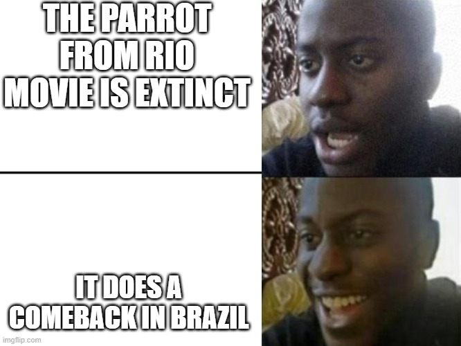 Reversed Disappointed Black Man | THE PARROT FROM RIO MOVIE IS EXTINCT; IT DOES A COMEBACK IN BRAZIL | image tagged in reversed disappointed black man | made w/ Imgflip meme maker