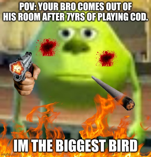 POV: YOUR BRO COMES OUT OF HIS ROOM AFTER 7YRS OF PLAYING COD. IM THE BIGGEST BIRD | made w/ Imgflip meme maker