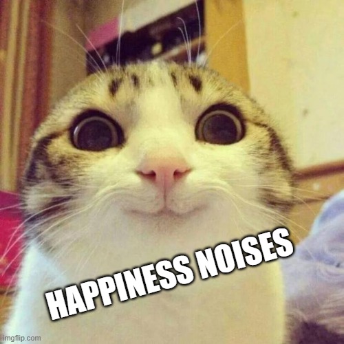 Smiling Cat Meme | HAPPINESS NOISES | image tagged in memes,smiling cat | made w/ Imgflip meme maker