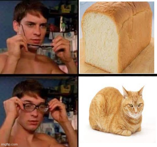 Peter Parker's Glasses | image tagged in peter parker's glasses | made w/ Imgflip meme maker