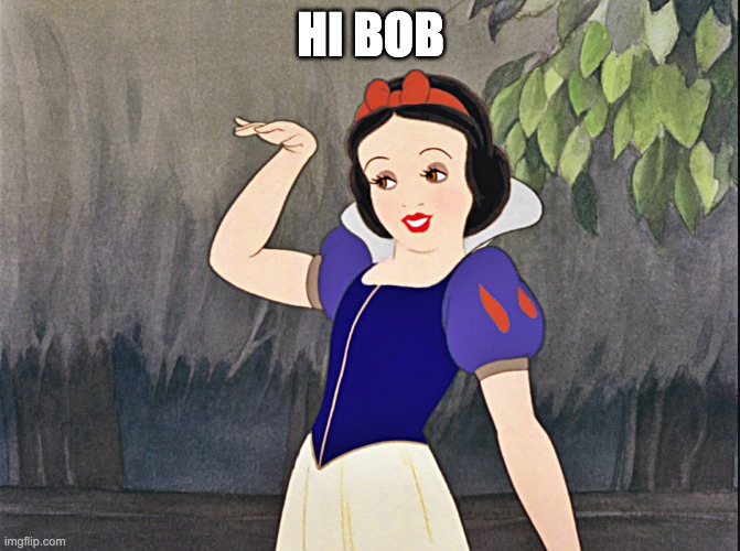 'ow ya doin'? | HI BOB | image tagged in snow white wave,bob | made w/ Imgflip meme maker
