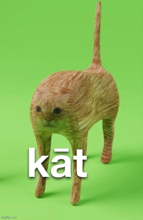 kāt | image tagged in cats,surreal,random,memes,funny,fun | made w/ Imgflip meme maker