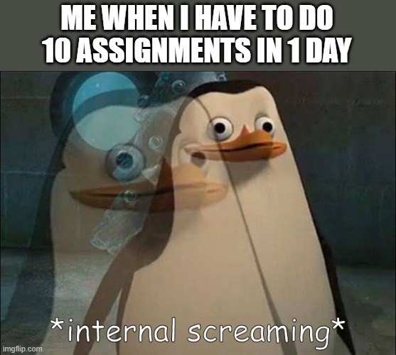 Private Internal Screaming | ME WHEN I HAVE TO DO 10 ASSIGNMENTS IN 1 DAY | image tagged in private internal screaming | made w/ Imgflip meme maker