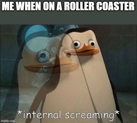 Private Internal Screaming | ME WHEN ON A ROLLER COASTER | image tagged in private internal screaming | made w/ Imgflip meme maker