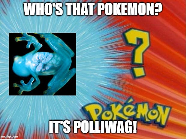 REAL POLIWAG | WHO'S THAT POKEMON? IT'S POLLIWAG! | image tagged in who is that pokemon | made w/ Imgflip meme maker