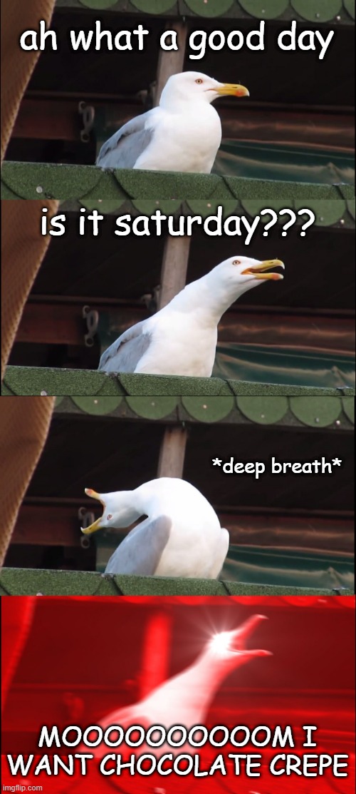 me when in saturday | ah what a good day; is it saturday??? *deep breath*; MOOOOOOOOOOM I WANT CHOCOLATE CREPE | image tagged in memes,inhaling seagull | made w/ Imgflip meme maker