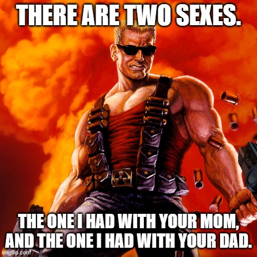 Duke Nukem | THERE ARE TWO SEXES. THE ONE I HAD WITH YOUR MOM, AND THE ONE I HAD WITH YOUR DAD. | image tagged in duke nukem | made w/ Imgflip meme maker