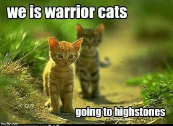 we be going to highstones | image tagged in warrior cats,warriors | made w/ Imgflip meme maker