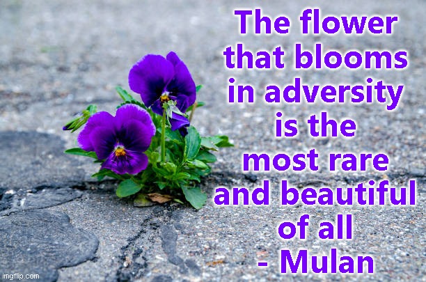 Wholesome Disney quote | The flower
that blooms
in adversity
is the
most rare
and beautiful
of all
- Mulan | image tagged in memes,wholesome,disney | made w/ Imgflip meme maker
