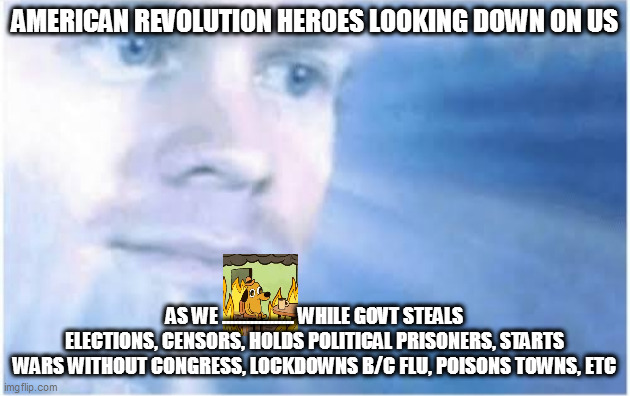 In heaven looking down | AMERICAN REVOLUTION HEROES LOOKING DOWN ON US; AS WE .................. WHILE GOVT STEALS ELECTIONS, CENSORS, HOLDS POLITICAL PRISONERS, STARTS WARS WITHOUT CONGRESS, LOCKDOWNS B/C FLU, POISONS TOWNS, ETC | image tagged in in heaven looking down | made w/ Imgflip meme maker