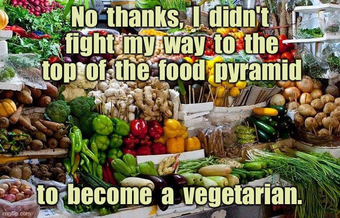 Food pyramid | No  thanks,  I  didn't  fight  my  way  to  the  top  of  the  food  pyramid; to  become  a  vegetarian. | image tagged in vegetables,fruit,food pyramid,fight to top,become vegetarian,fun | made w/ Imgflip meme maker