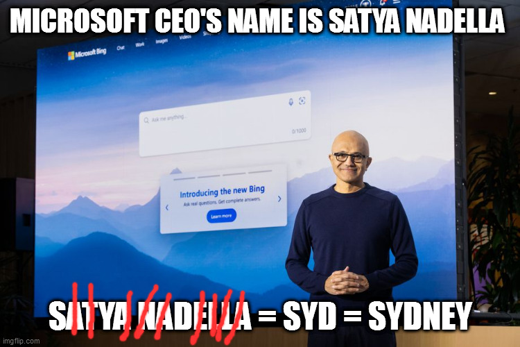 syd   nee | MICROSOFT CEO'S NAME IS SATYA NADELLA; SATYA NADELLA = SYD = SYDNEY | image tagged in memes | made w/ Imgflip meme maker