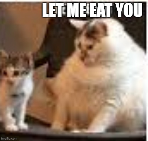come here lil' kitty! (srry, it's pixelated) | LET ME EAT YOU | image tagged in cats,funny | made w/ Imgflip meme maker