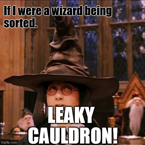 trouble | If I were a wizard being 
sorted. LEAKY
 CAULDRON! | image tagged in sorting hat,drinking | made w/ Imgflip meme maker
