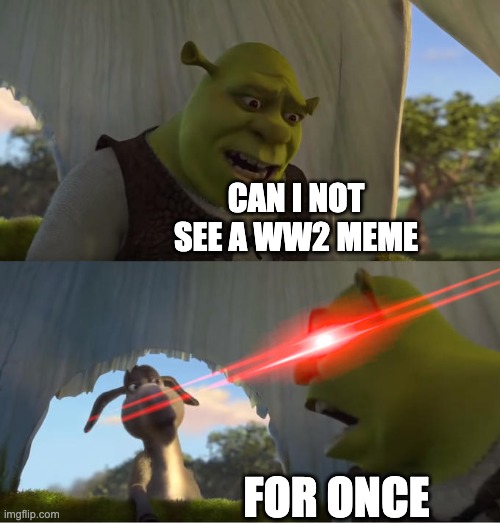 Shrek For Five Minutes | CAN I NOT SEE A WW2 MEME FOR ONCE | image tagged in shrek for five minutes | made w/ Imgflip meme maker