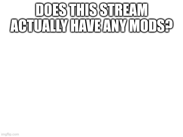 question | DOES THIS STREAM ACTUALLY HAVE ANY MODS? | image tagged in question | made w/ Imgflip meme maker