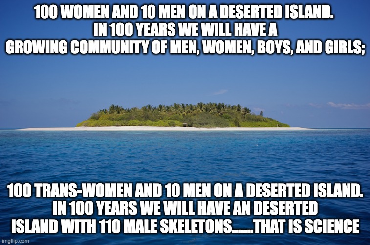 100 Females and 10 males on a deserted island | 100 WOMEN AND 10 MEN ON A DESERTED ISLAND. 
IN 100 YEARS WE WILL HAVE A GROWING COMMUNITY OF MEN, WOMEN, BOYS, AND GIRLS;; 100 TRANS-WOMEN AND 10 MEN ON A DESERTED ISLAND.
IN 100 YEARS WE WILL HAVE AN DESERTED ISLAND WITH 110 MALE SKELETONS.......THAT IS SCIENCE | image tagged in desert island | made w/ Imgflip meme maker