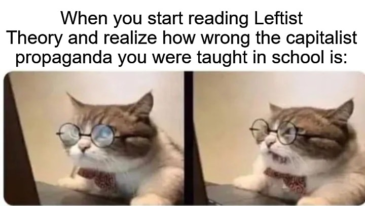 When you start reading Leftist Theory and realize how wrong the capitalist propaganda you were taught in school is: | image tagged in leftists,socialism,communism,anarchism,cat | made w/ Imgflip meme maker