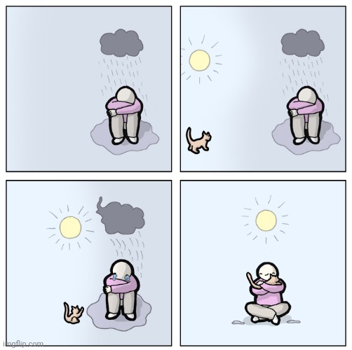 The happy ending | image tagged in cat,wholesome,rain,sunny,comics,comics/cartoons | made w/ Imgflip meme maker
