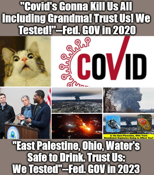Just Two Weeks to Flatten the News-Cycle Curve | "Covid's Gonna Kill Us All 
Including Grandma! Trust Us! We 
Tested!"--Fed. GOV in 2020; "East Palestine, Ohio, Water's 
Safe to Drink. Trust Us: 
We Tested"--Fed. GOV in 2023 | image tagged in scared cat,covid propaganda,east palestine ohio,antiwhite house,msm omits,environmental protection agency | made w/ Imgflip meme maker