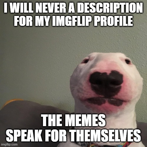 literally me rn | I WILL NEVER A DESCRIPTION FOR MY IMGFLIP PROFILE THE MEMES SPEAK FOR THEMSELVES | image tagged in what da dog,imgflip users | made w/ Imgflip meme maker