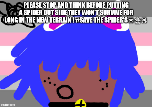 no one from new order or Linkin Park will die tomorrow | PLEASE STOP AND THINK BEFORE PUTTING A SPIDER OUT SIDE THEY WON'T SURVIVE FOR LONG IN THE NEW TERRAIN ! #SAVE THE SPIDER'S🕷🕸🕷 | image tagged in nanna mac will not die tomorrow | made w/ Imgflip meme maker