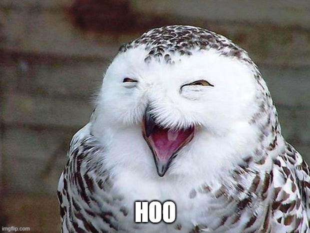 hoo carez | HOO | image tagged in owl happy | made w/ Imgflip meme maker