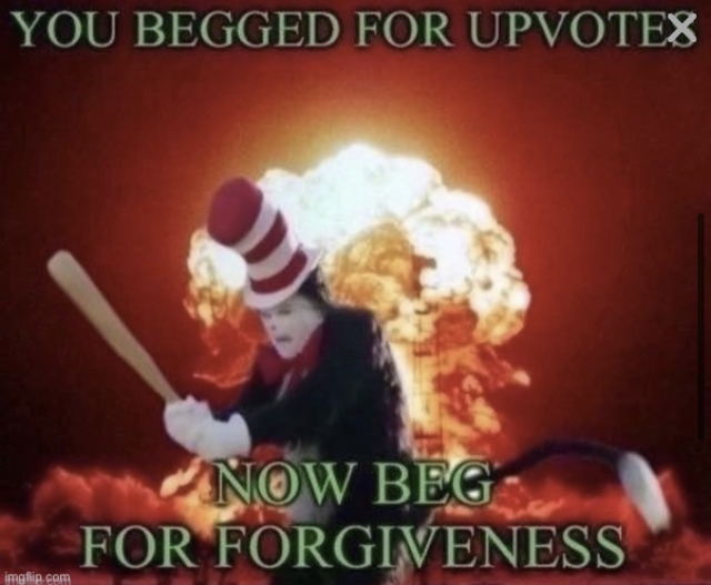 You begged for upvotes now beg for forgiveness Blank Meme Template