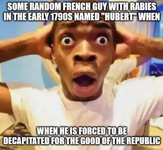 Posting offensive memes until a snowflake gets mad in the comments day 8. Decided making fun of diseases would do the trick. | SOME RANDOM FRENCH GUY WITH RABIES IN THE EARLY 1790S NAMED "HUBERT" WHEN; WHEN HE IS FORCED TO BE DECAPITATED FOR THE GOOD OF THE REPUBLIC | image tagged in shocked black guy grabbing head | made w/ Imgflip meme maker