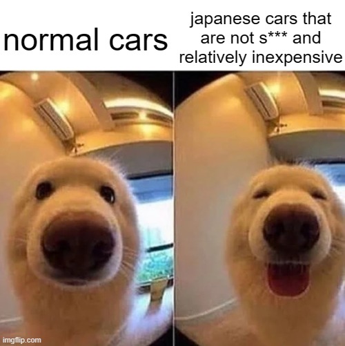 wholesome doggo | normal cars; japanese cars that are not s*** and relatively inexpensive | image tagged in wholesome doggo | made w/ Imgflip meme maker