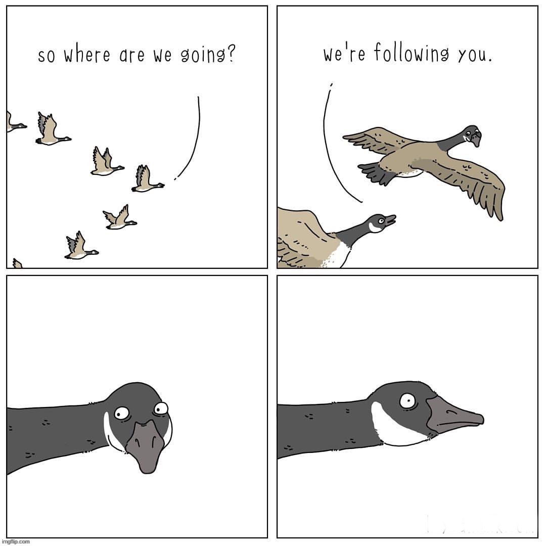image tagged in comics/cartoons | made w/ Imgflip meme maker