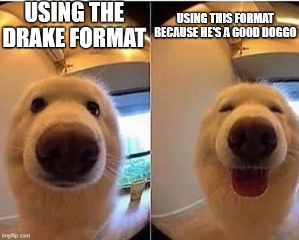 wholesome doggo | USING THE DRAKE FORMAT USING THIS FORMAT BECAUSE HE'S A GOOD DOGGO | image tagged in wholesome doggo | made w/ Imgflip meme maker