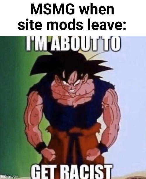 Lmao | MSMG when site mods leave: | image tagged in im about to get racist | made w/ Imgflip meme maker