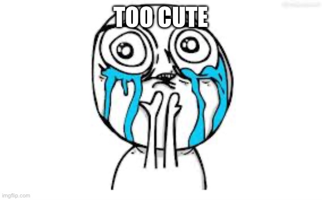 Crying Because Of Cute Meme | TOO CUTE | image tagged in memes,crying because of cute | made w/ Imgflip meme maker