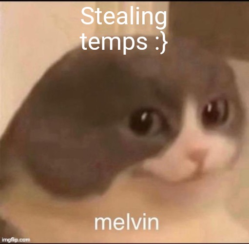 melvin | Stealing temps :} | image tagged in melvin | made w/ Imgflip meme maker
