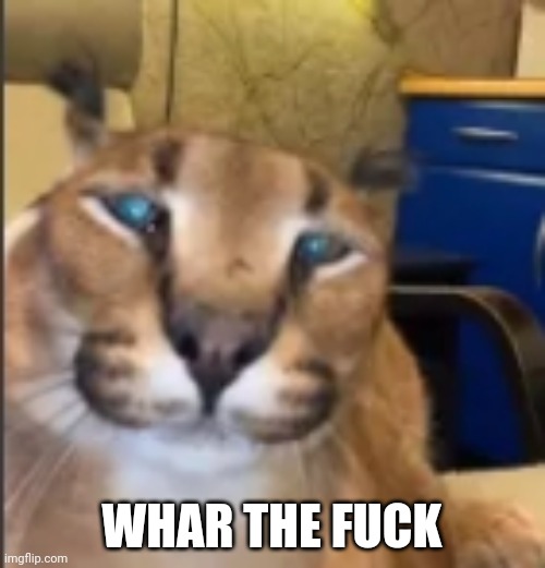 Whar the fuck | WHAR THE FUCK | image tagged in whar the fuck | made w/ Imgflip meme maker